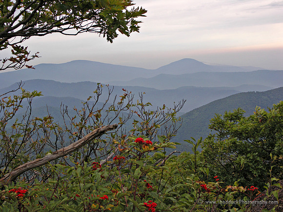 Blue Ridge Mountains from Mary Rock