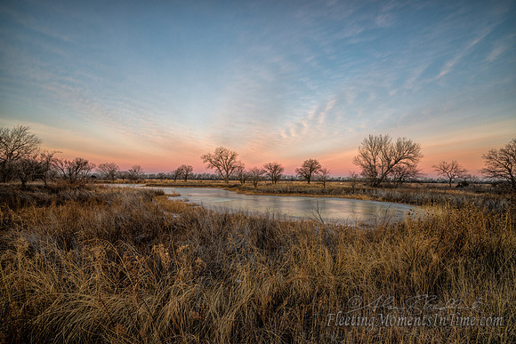 Frozen Pond
