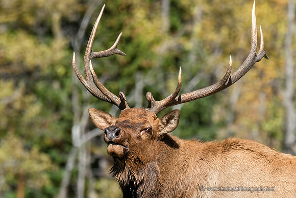 04 RMNP Fall 2013
