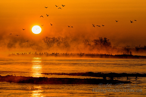 Sunrise on the Platte with Sandhill Cranes 04