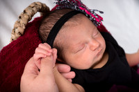 06 Maya July 2014