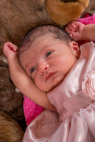 11 Maya July 2014