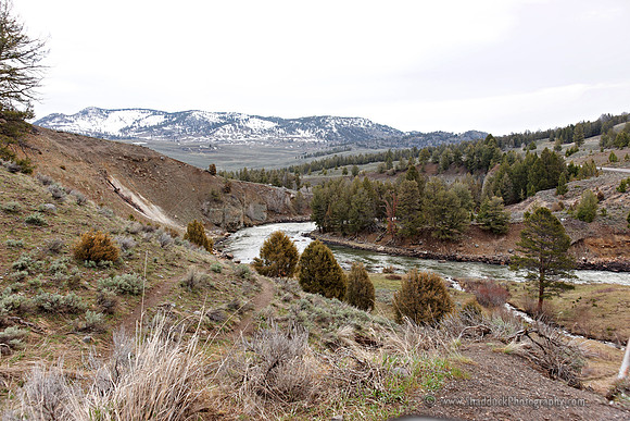 51-Yellowstone May 2011