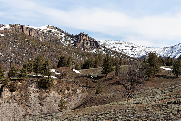 58-Yellowstone May 2011