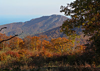 Old Rag - SNP
