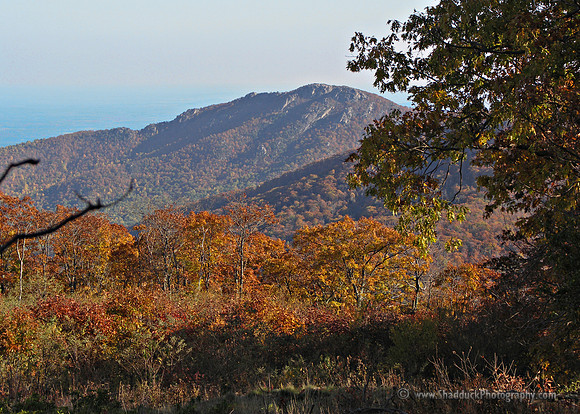 Old Rag - SNP