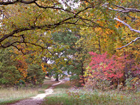 Spotsylvania Battlefield in Autumn