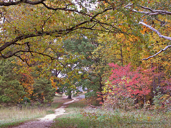 Spotsylvania Battlefield in Autumn
