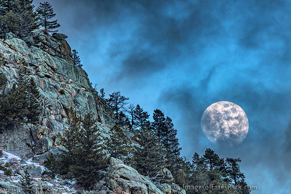 Bighorn Moon - Sheep on the cliffs of Bighorn Mountain with rising moon.
