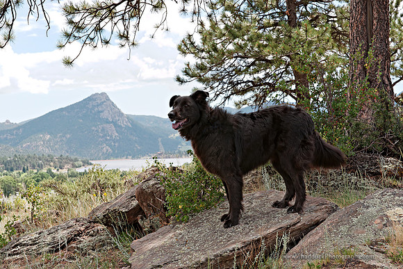 Nico, Mt Olympus, and Lake Estes