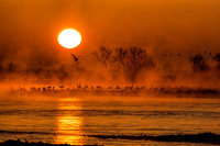 Sunrise on the Platte with Sandhill Cranes 03