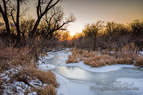 Footsteps into Frozen Nebraska Autumn