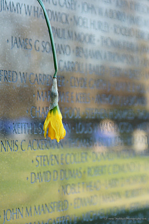 Vietnam Wall Memorial