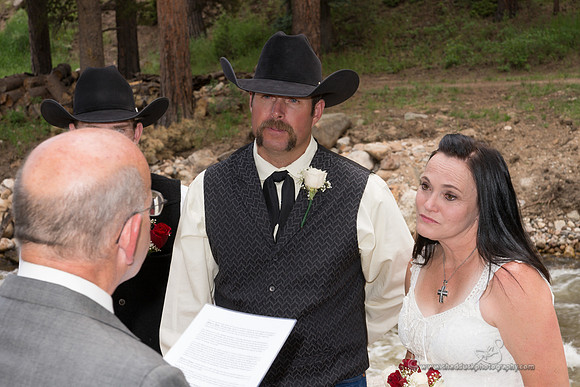 50 Renee Shawn Wedding