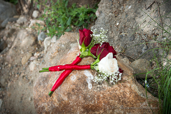 39 Renee Shawn Wedding