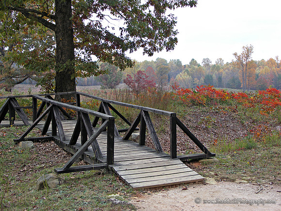 Spotsylvania Battlefield
