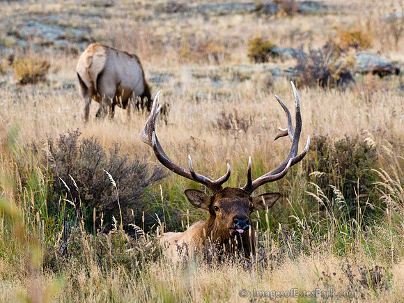RMNP Oct 2011